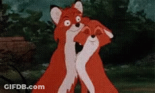 A Couple Of Foxes Hugging Each Other In A Forest . GIF