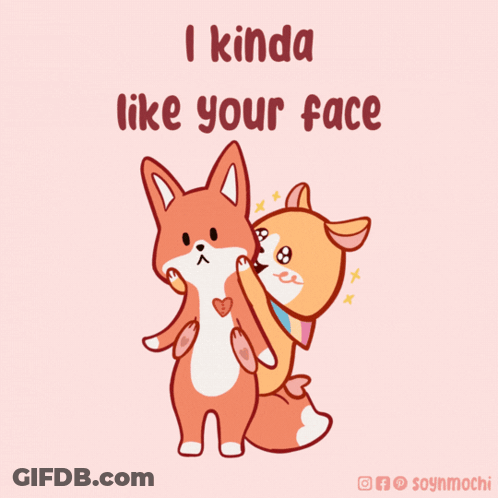 A Couple Of Foxes Standing Next To Each Other With The Words I Kinda Like Your Face Above Them GIF