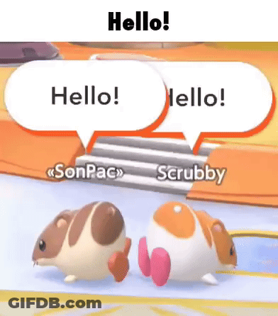 A Couple Of Hamsters Are Standing Next To Each Other And Talking To Each Other . GIF