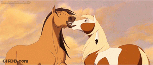 A Couple Of Horses Standing Next To Each Other And One Of Them Is Licking The Other GIF