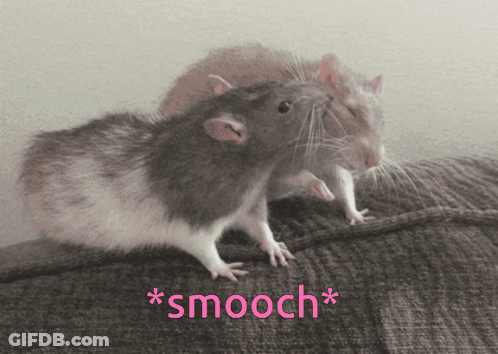 A Couple Of Mice Standing Next To Each Other With The Word Smooch Written Below Them GIF