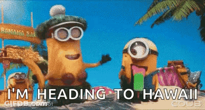 A Couple Of Minions Standing Next To Each Other With The Words I 'M Heading To Hawaii On The Bottom GIF