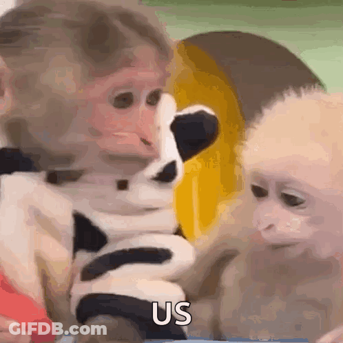A Couple Of Monkeys Are Sitting Next To Each Other And One Is Holding A Stuffed Animal . GIF