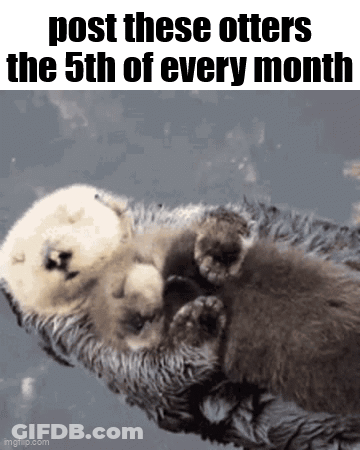 A Couple Of Otters Sleeping Next To Each Other On A Blanket . GIF