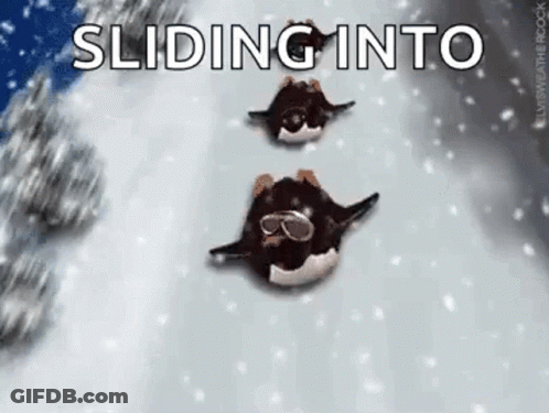 A Couple Of Penguins Are Sliding Down A Snow Covered Slope . GIF