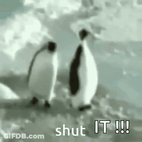 A Couple Of Penguins Are Standing Next To Each Other On Top Of A Snow Covered Field . GIF