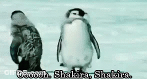 A Couple Of Penguins Standing Next To Each Other In The Snow With The Words Oooooooh . Shakira . Shakira . GIF