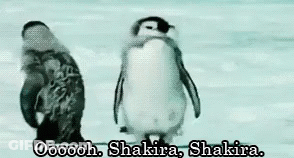 A Couple Of Penguins Standing Next To Each Other In The Snow With Their Wings Outstretched . GIF