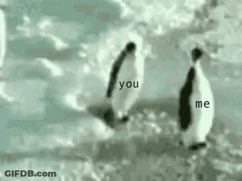 A Couple Of Penguins Standing Next To Each Other In The Water With The Words `` You And Me '' Written On Them . GIF