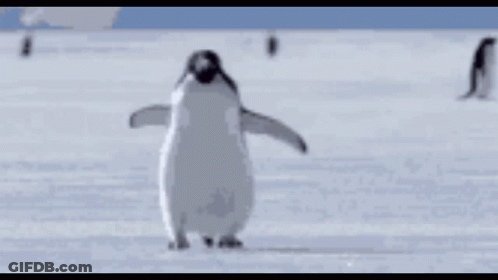 A Couple Of Penguins Standing On Top Of A Snowy Surface GIF