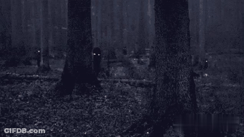 A Couple Of People Standing In A Dark Forest At Night . GIF