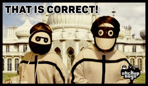 A Couple Of People Wearing Masks With The Words That Is Correct GIF