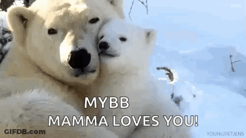 A Couple Of Polar Bears Hugging Each Other In The Snow With The Words `` Mybb Mamma Loves You '' . GIF