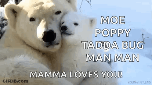 A Couple Of Polar Bears Hugging Each Other With The Words Moe Poppy Tadda Bug Man Man Mamma Loves You . GIF