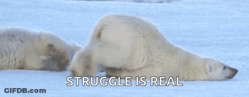 A Couple Of Polar Bears Laying In The Snow With The Words `` Struggle Is Real '' Written Above Them . GIF