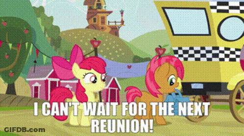 A Couple Of Ponies Standing Next To Each Other With The Words I Can T Wait For The Next Reunion GIF