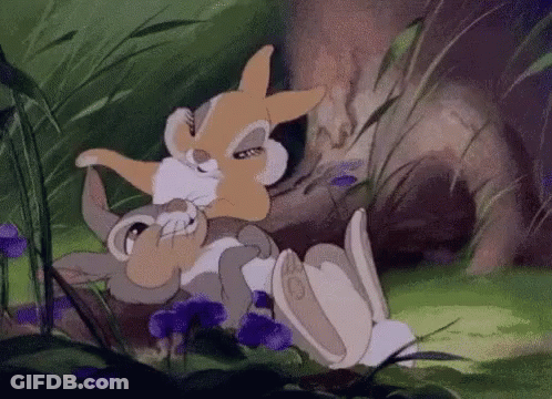 A Couple Of Rabbits Are Laying In The Grass . GIF