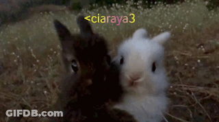 A Couple Of Rabbits Standing Next To Each Other With The Name Ciaraya3 GIF