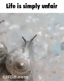A Couple Of Snails Are Crawling On A Surface With The Words `` Life Is Simply Unfair '' Written Above Them . GIF