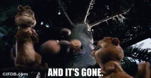 A Couple Of Squirrels Are Standing Next To Each Other And Talking To Each Other . GIF