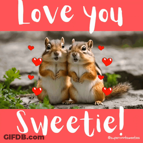 A Couple Of Squirrels Hugging With The Words Love You Sweetie On The Bottom GIF
