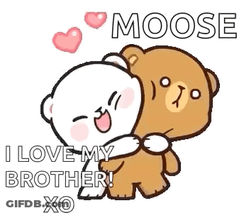A Couple Of Teddy Bears Hugging Each Other . GIF