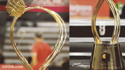 A Couple Of Trophies One Of Which Says Champions On It GIF