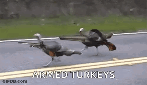 A Couple Of Turkeys Are Running Down A Road With Guns . GIF