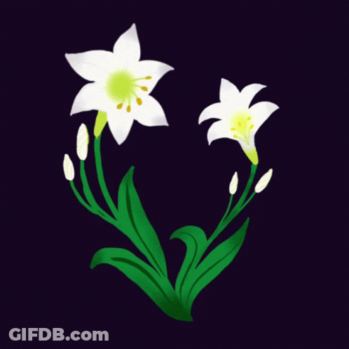 A Couple Of White Flowers With Green Leaves On A Dark Background GIF