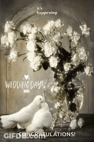 A Couple Of White Pigeons Standing Next To A Vase Of Flowers . GIF