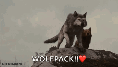 A Couple Of Wolves Standing On Top Of A Rock With The Word Wolfpack Written Below Them GIF