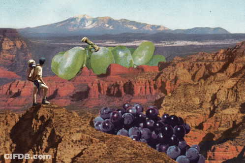 A Couple Standing On A Cliff Looking At A Bunch Of Grapes And Apples GIF