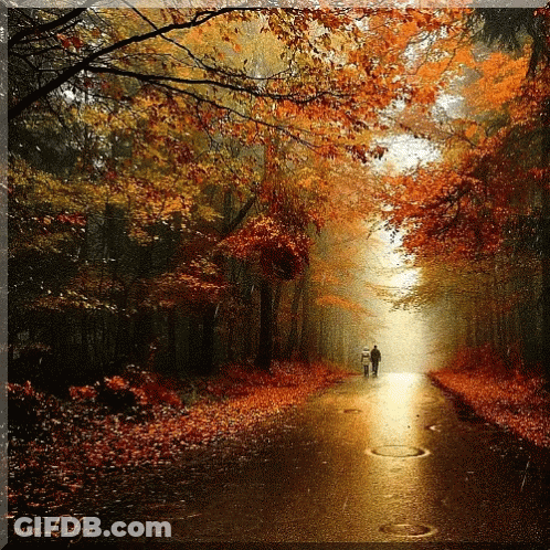 A Couple Walking Down A Road Surrounded By Trees GIF