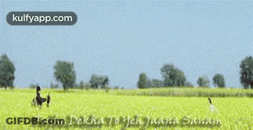 A Couple Walking Through A Field With The Words Kulfyapp.com Written On The Bottom GIF