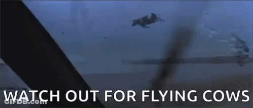 A Cow Is Flying Through The Air With The Words " Watch Out For Flying Cows " Above It GIF