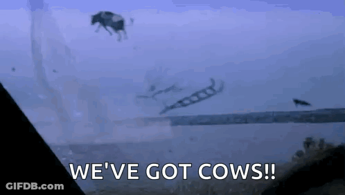 A Cow Is Flying Through The Air With The Words We 'Ve Got Cows Behind It . GIF