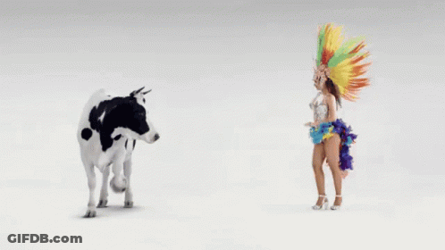 A Cow Is Standing Next To A Woman In A Colorful Outfit GIF