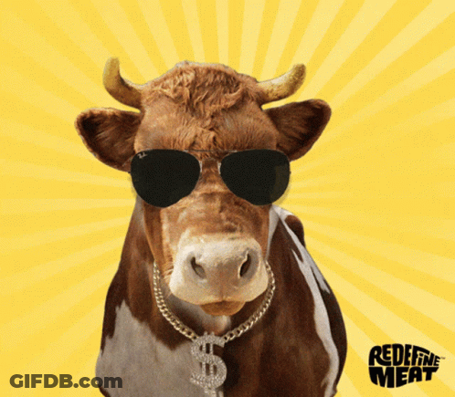 A Cow Wearing Sunglasses And A Chain With A Dollar Sign Around Its Neck Says " Sure " GIF