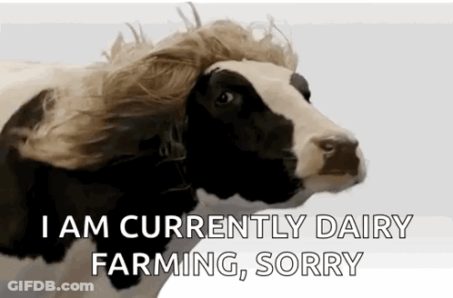 A Cow With A Wig On Its Head Is Saying `` I Am Currently Dairy Farming Sorry '' . GIF