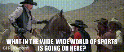 A Cowboy Riding A Horse With The Words " What In The Wide Wide World Of Sports Is Going On Here " GIF