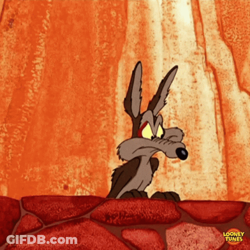 A Coyote From Looney Tunes Is Standing On A Rock GIF