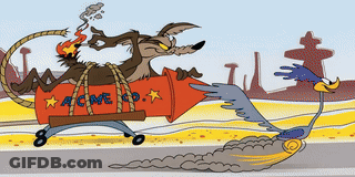 A Coyote Is Riding A Rocket That Says Rome Co GIF
