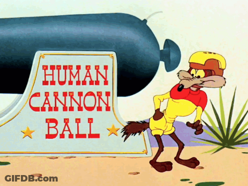 A Coyote Is Standing In Front Of A Human Cannon Ball GIF