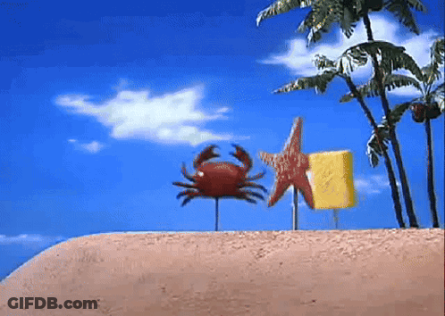 A Crab A Starfish And A Block Of Shaving Cream Are On A Beach GIF