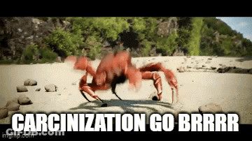 A Crab Is Crawling On A Beach With The Words Carcinization Go Brrr GIF