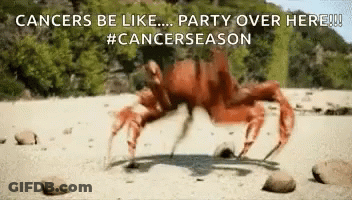 A Crab Is Crawling On A Rocky Beach With The Words Cancers Be Like Party Over Here . GIF