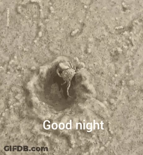 A Crab Is Crawling Out Of A Hole And The Words Good Night Are Above It GIF