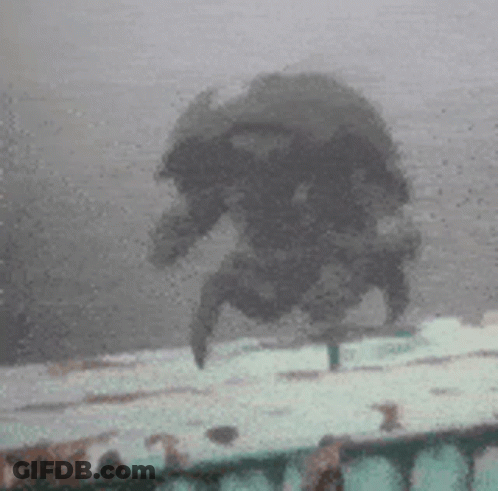 A Crab Is Flying Through The Air In A Foggy Room . GIF