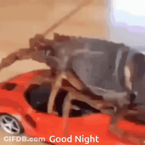 A Crab Is Sitting In A Red Toy Car That Says Good Night On The Bottom GIF