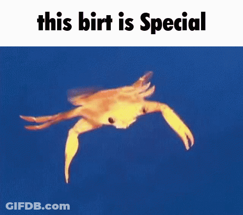 A Crab Is Swimming In The Ocean With The Words `` This Birt Is Special '' Written Below It . GIF